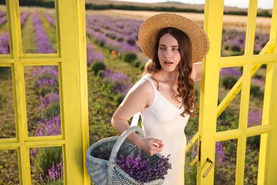 Photo of Beautiful young woman with wicker basket of lavender flowers near yellow decorative door frame in field