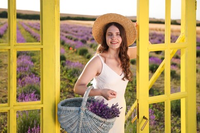 Photo of Beautiful young woman with wicker basket of lavender flowers near yellow decorative door frame in field