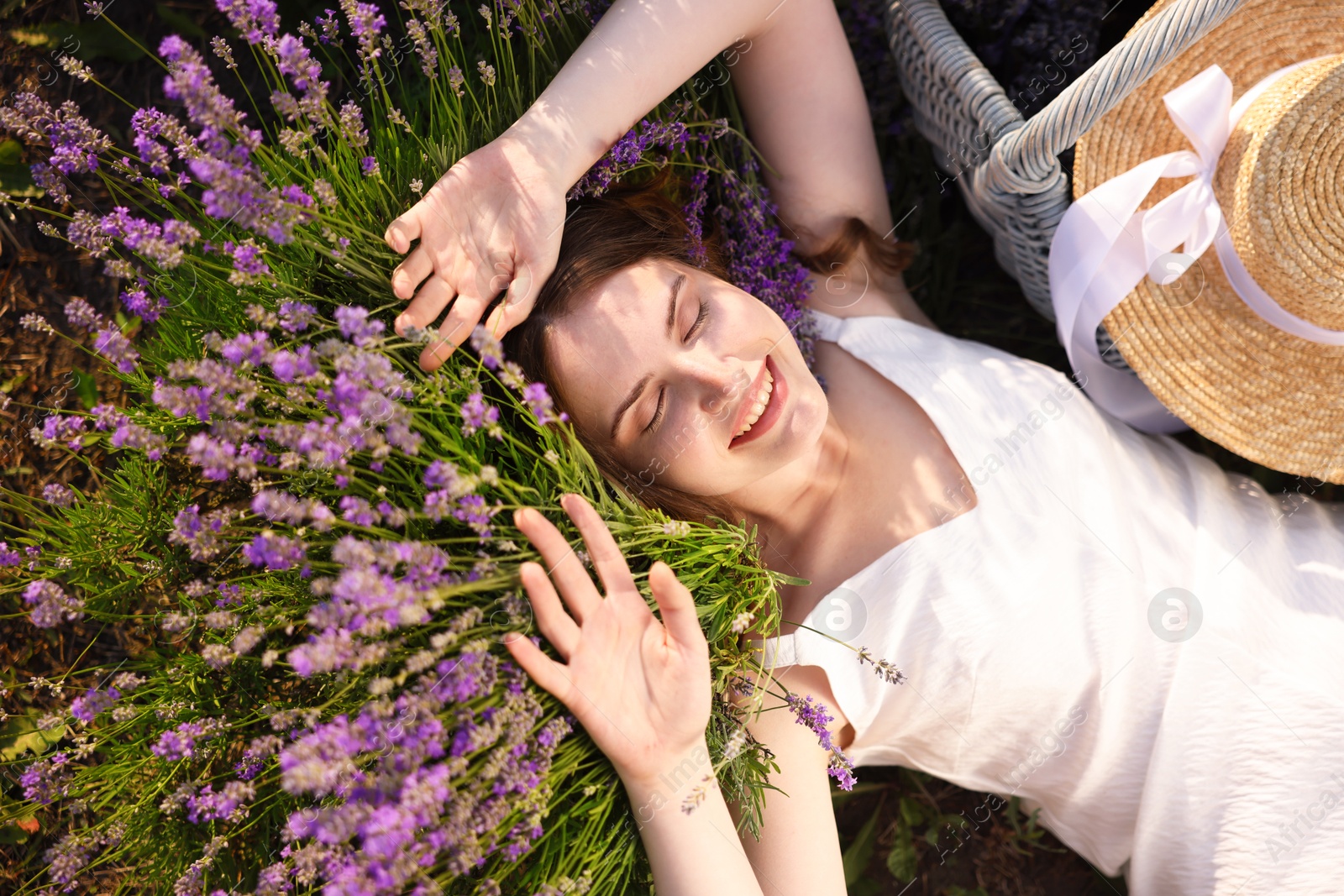 Photo of Beautiful young woman lying among lavender flowers outdoors, top view