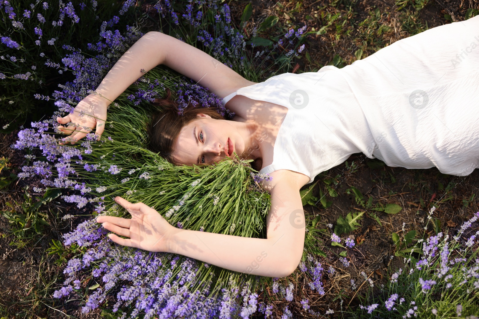 Photo of Beautiful young woman lying among lavender flowers outdoors, top view