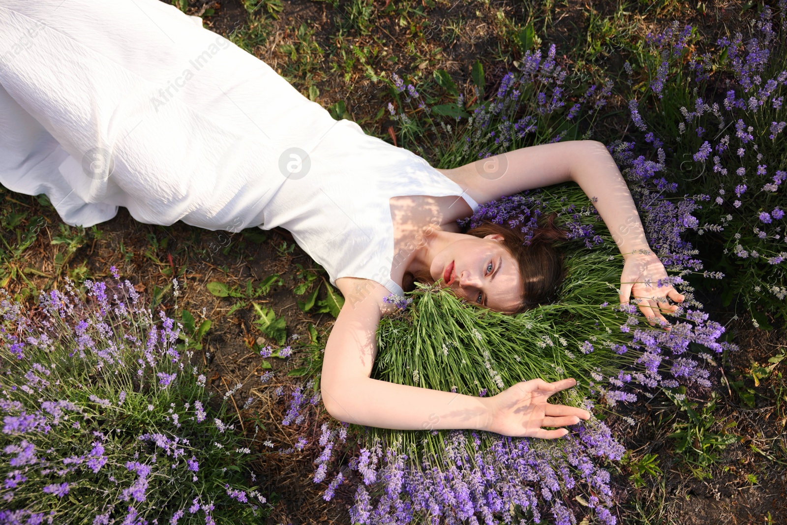 Photo of Beautiful young woman lying among lavender flowers outdoors, top view