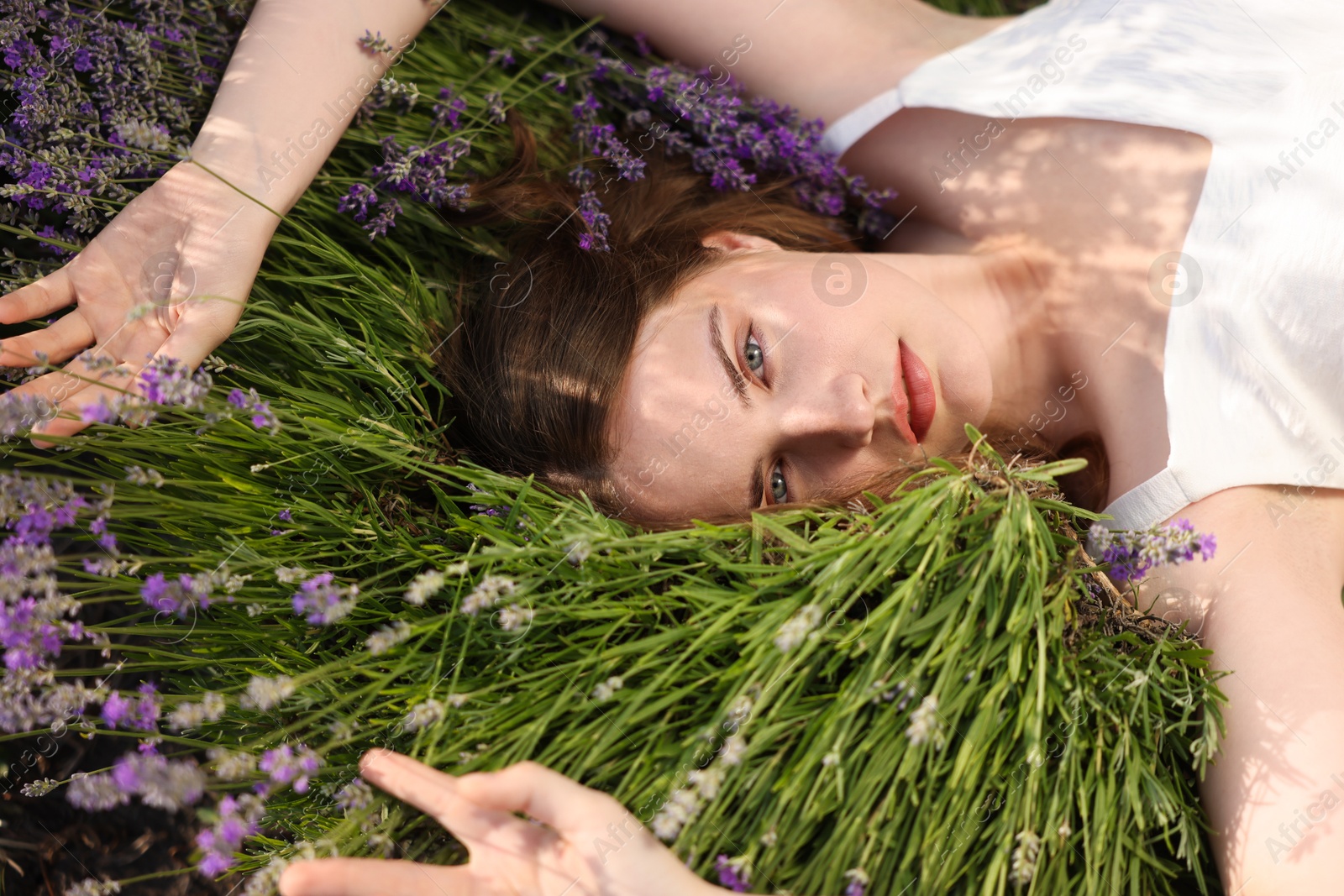 Photo of Beautiful young woman lying among lavender flowers outdoors, closeup