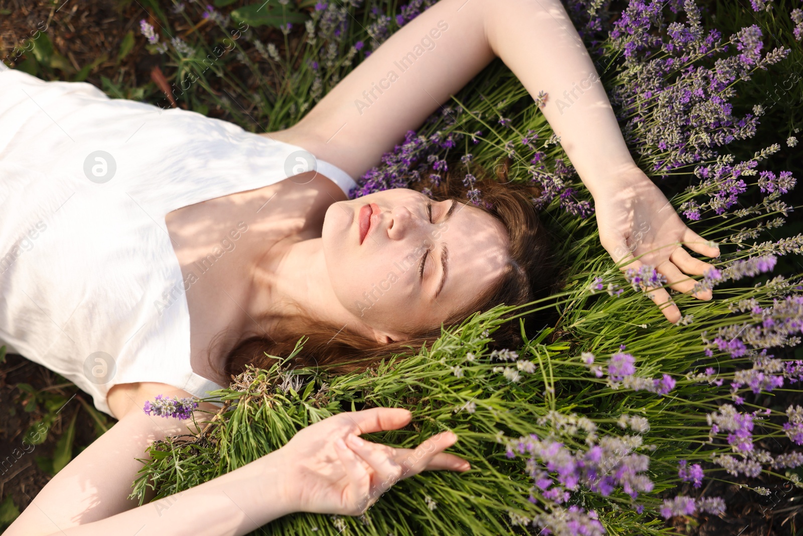 Photo of Beautiful young woman lying among lavender flowers outdoors, above view