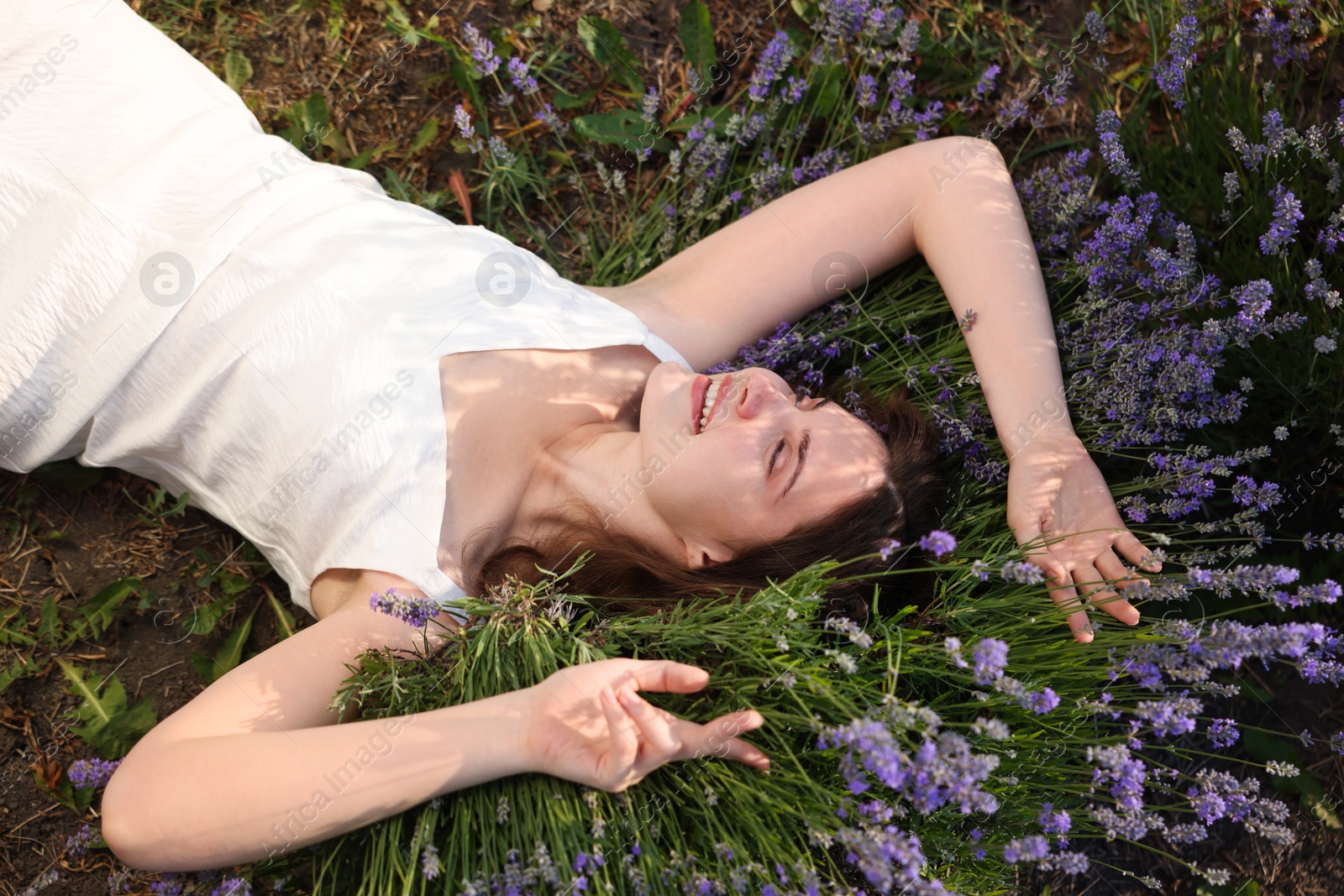 Photo of Beautiful young woman lying among lavender flowers outdoors, above view