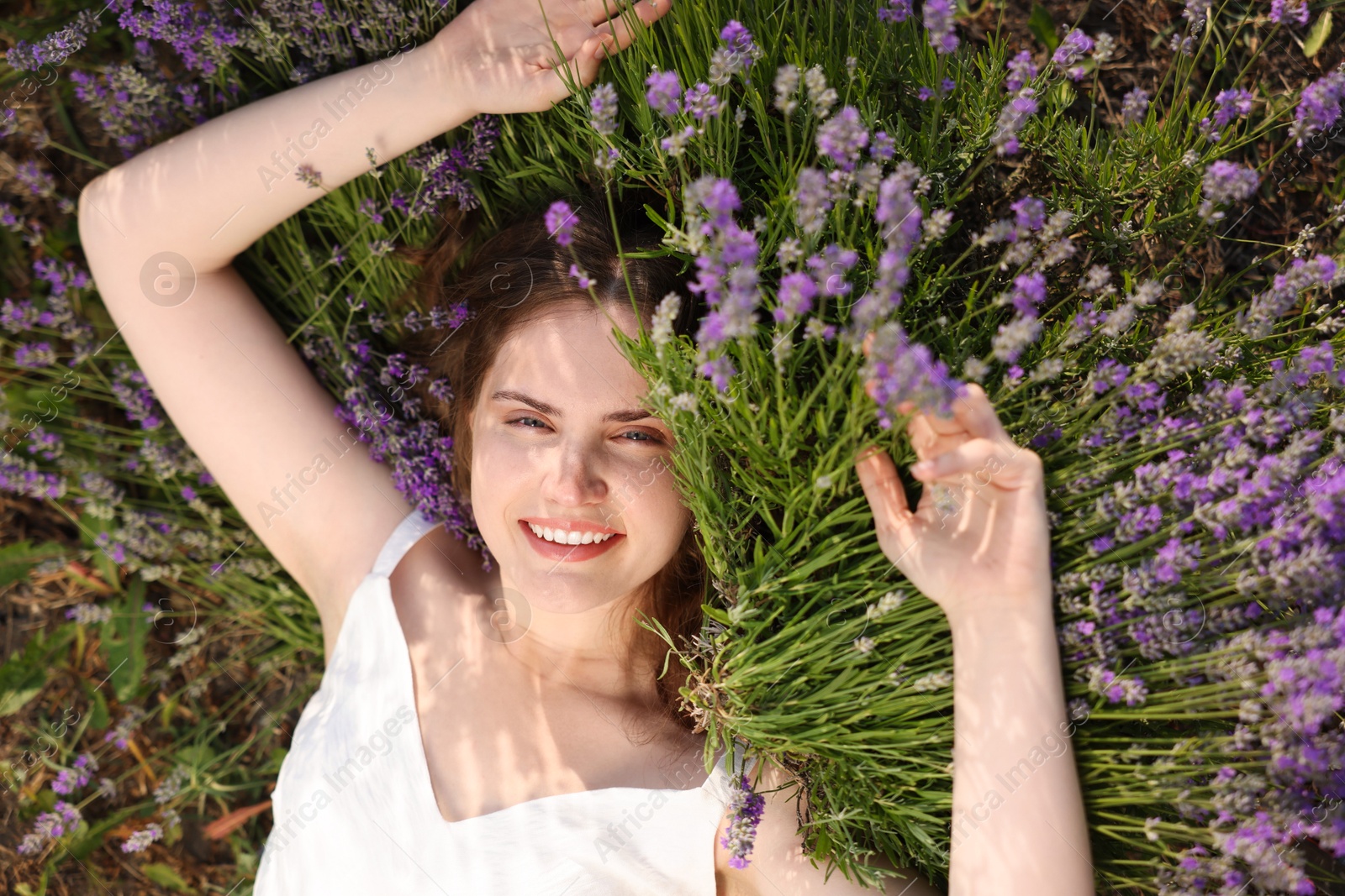 Photo of Beautiful young woman lying among lavender flowers outdoors, top view