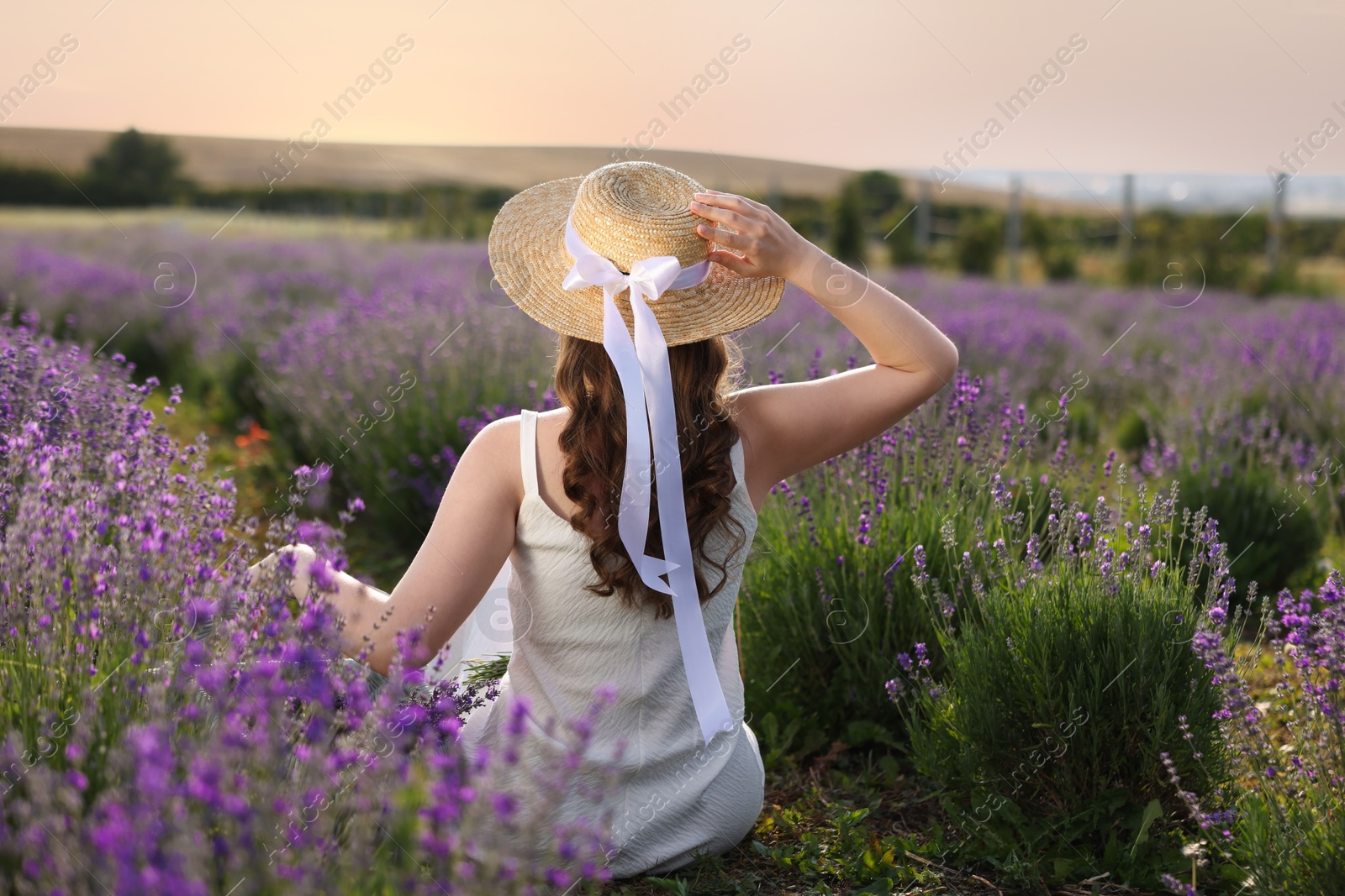 Photo of Woman with wicker hat sitting in beautiful lavender field, back view