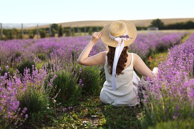 Photo of Woman with wicker hat sitting in beautiful lavender field, back view