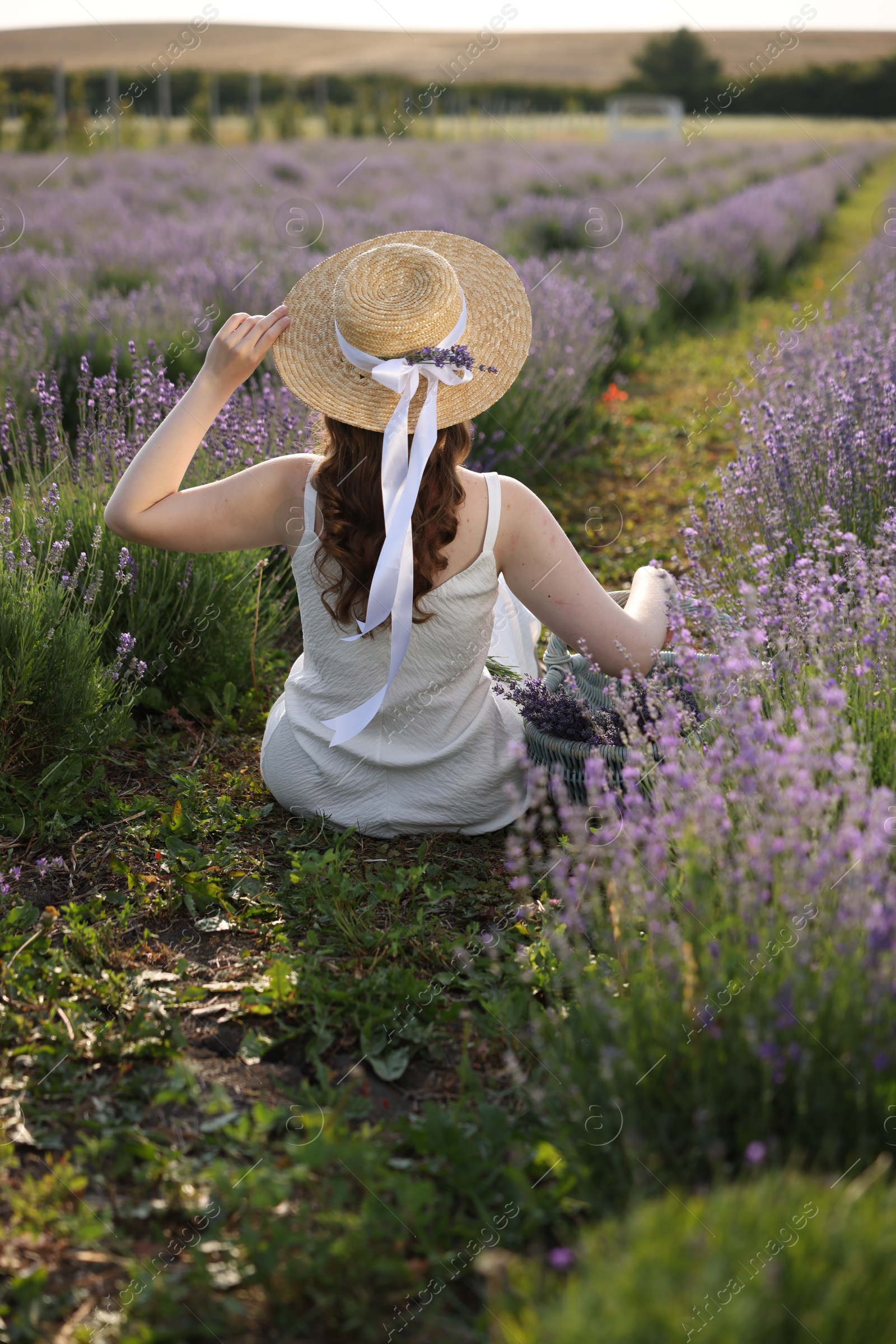 Woman with wicker hat sitting in beautiful lavender field, back view Photo of Woman with wicker hat sitting in beautiful lavender field, back view