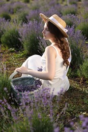 Photo of Beautiful young woman with wicker basket of lavender flowers sitting in field