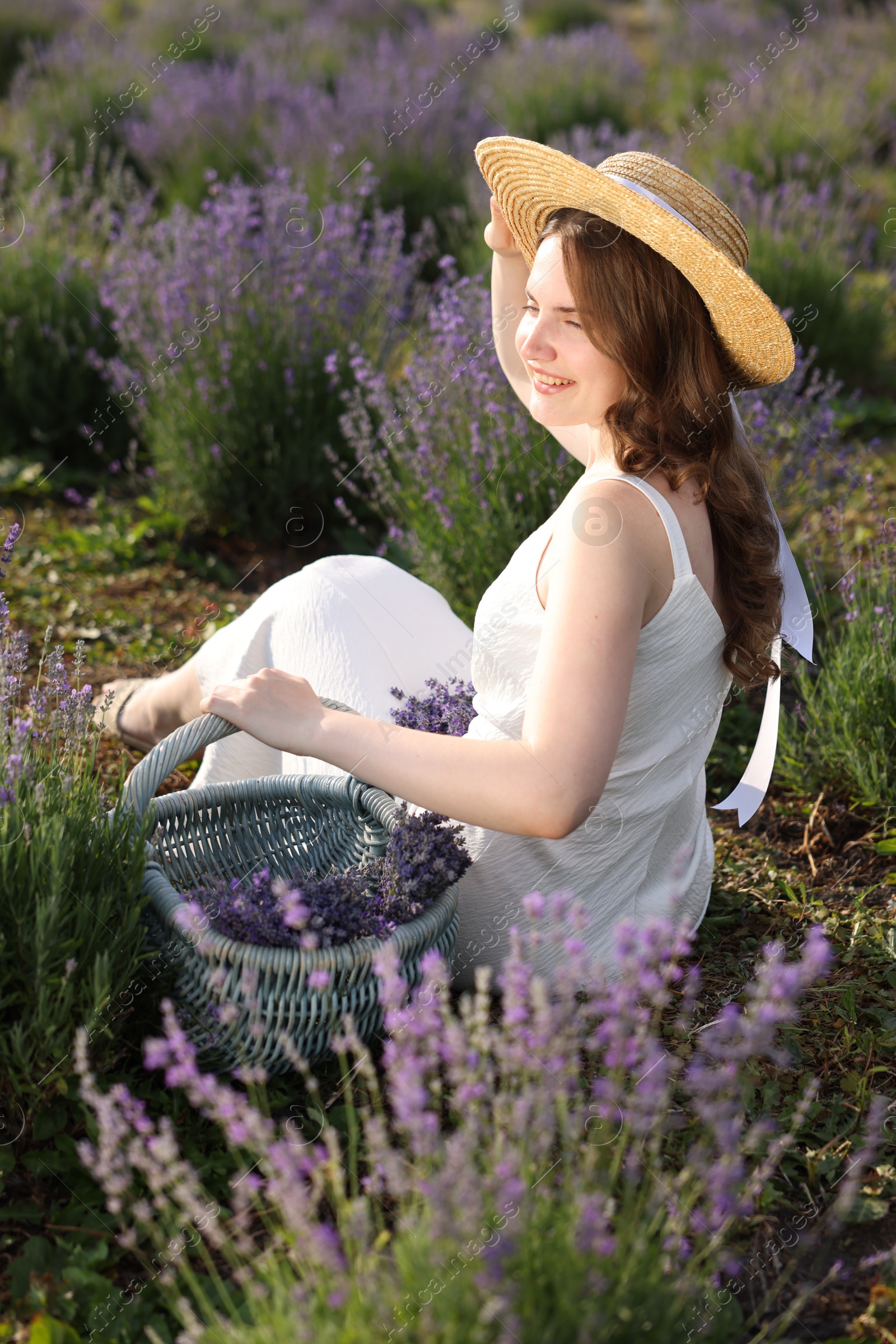 Beautiful young woman with wicker basket of lavender flowers sitting in field Photo of Beautiful young woman with wicker basket of lavender flowers sitting in field