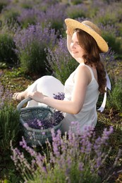 Photo of Beautiful young woman with wicker basket of lavender flowers sitting in field