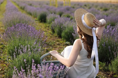 Photo of Woman with wicker basket of beautiful lavender flowers sitting in field, back view