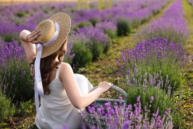 Photo of Woman with wicker basket of beautiful lavender flowers sitting in field, back view