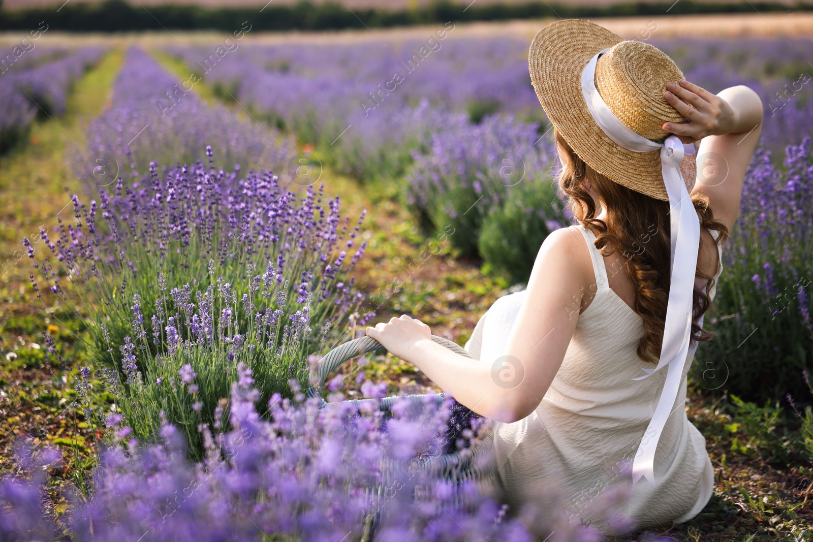 Photo of Woman with wicker basket of beautiful lavender flowers sitting in field, back view