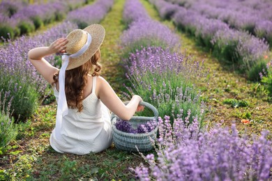 Photo of Woman with wicker basket of beautiful lavender flowers sitting in field, back view