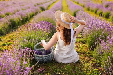 Photo of Woman with wicker basket of beautiful lavender flowers sitting in field, back view