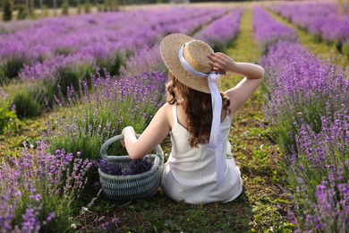 Photo of Woman with wicker basket of beautiful lavender flowers sitting in field, back view