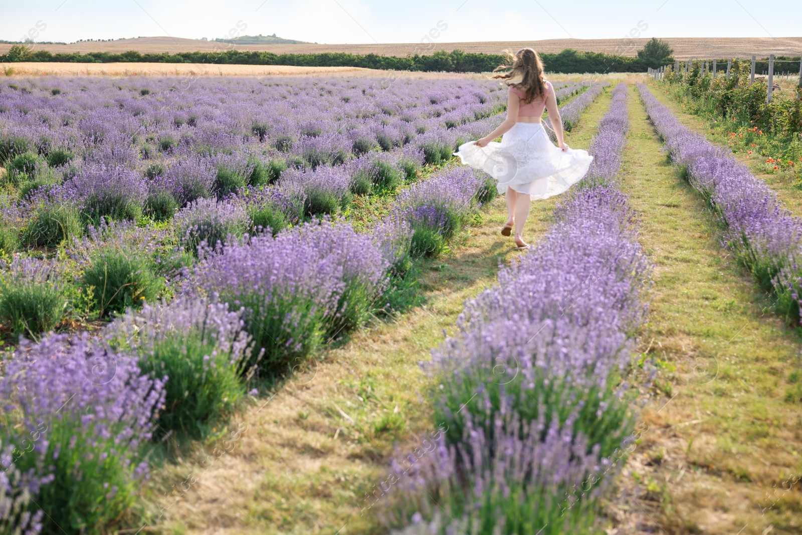 Photo of Woman running through lavender field, back view