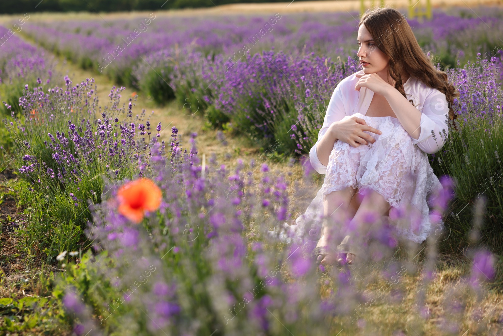 Photo of Beautiful young woman sitting among lavender flowers outdoors