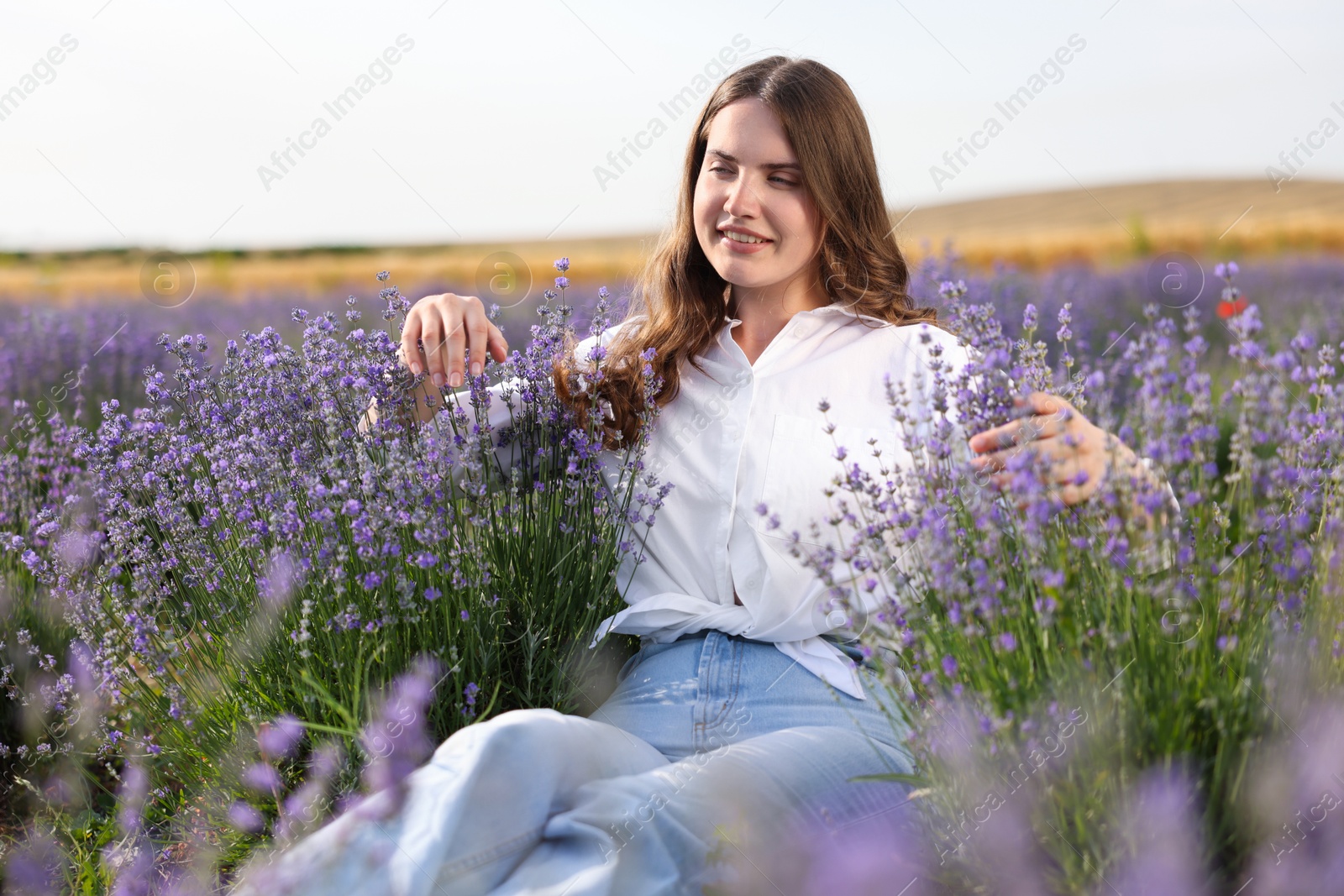 Photo of Beautiful young woman among lavender flowers in field