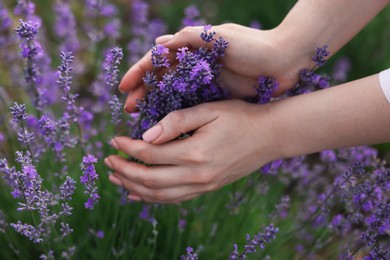 Photo of Woman touching beautiful blooming lavender flowers outdoors, closeup
