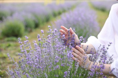 Photo of Woman touching beautiful blooming lavender flowers outdoors, closeup