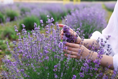Photo of Woman touching beautiful blooming lavender flowers outdoors, closeup