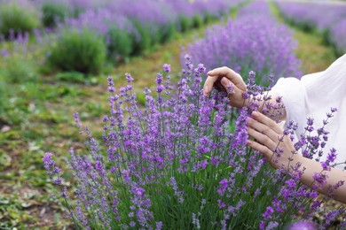 Photo of Woman touching beautiful blooming lavender flowers outdoors, closeup