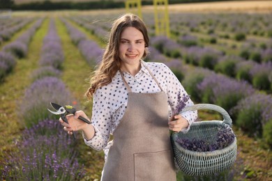 Photo of Beautiful young woman with basket of lavender flowers and pruning shears in field