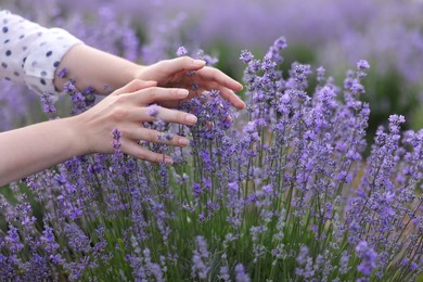 Photo of Woman touching beautiful blooming lavender flowers outdoors, closeup