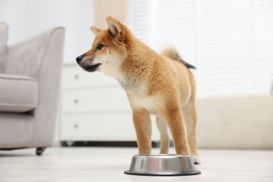 Photo of Cute Shiba Inu dog near feeding bowl on floor indoors