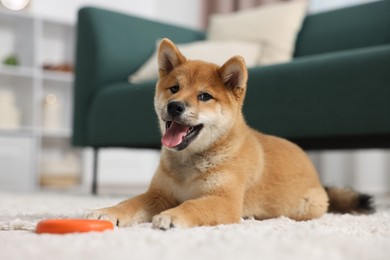 Photo of Cute Shiba Inu dog lying with pet toy on floor indoors