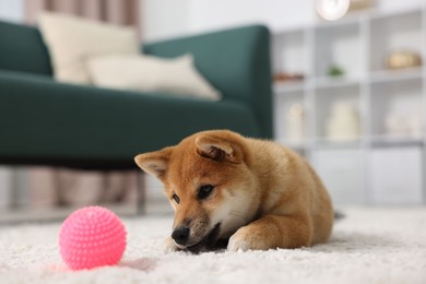 Photo of Cute Shiba Inu dog and pet toy on floor indoors