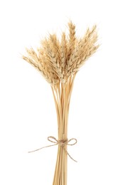 Photo of Bunch of dried wheat spikes isolated on white