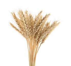 Photo of Dried spikes of wheat isolated on white