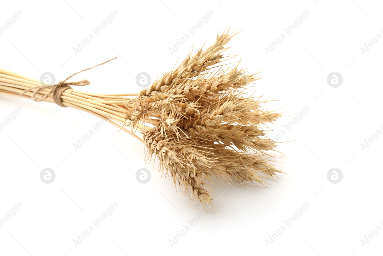 Bunch of dried wheat spikes isolated on white Photo of Bunch of dried wheat spikes isolated on white