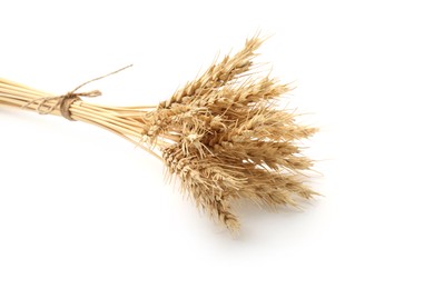 Photo of Bunch of dried wheat spikes isolated on white