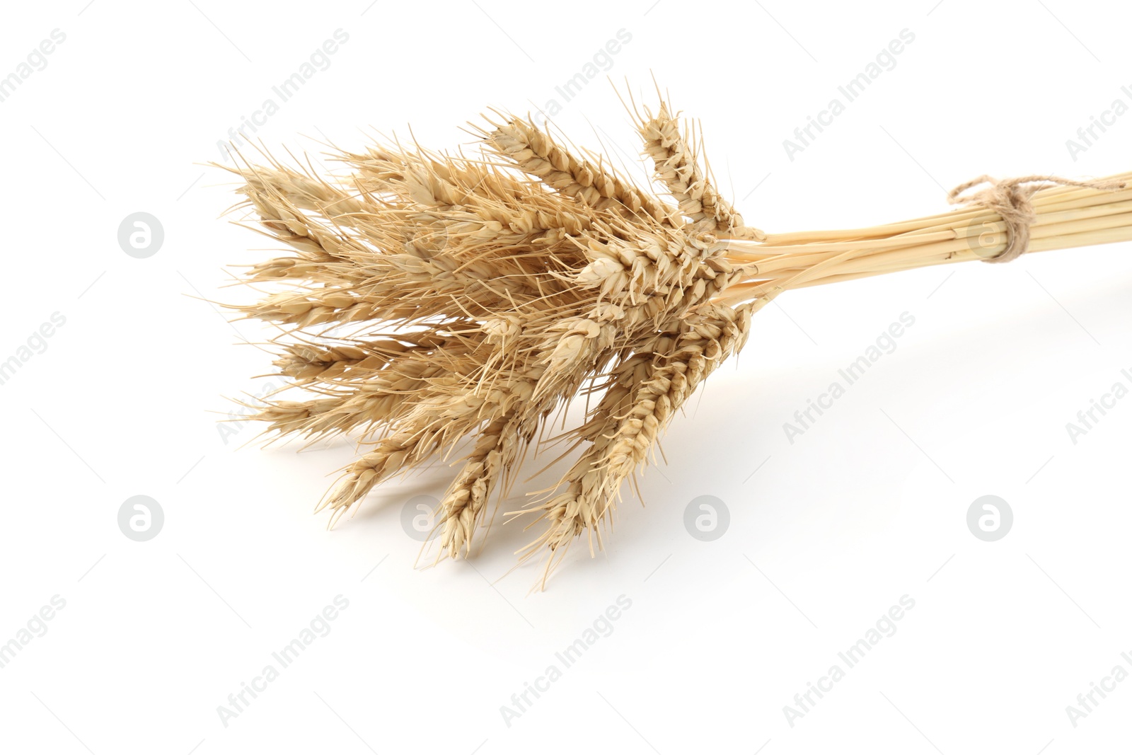 Bunch of dried wheat spikes isolated on white Photo of Bunch of dried wheat spikes isolated on white