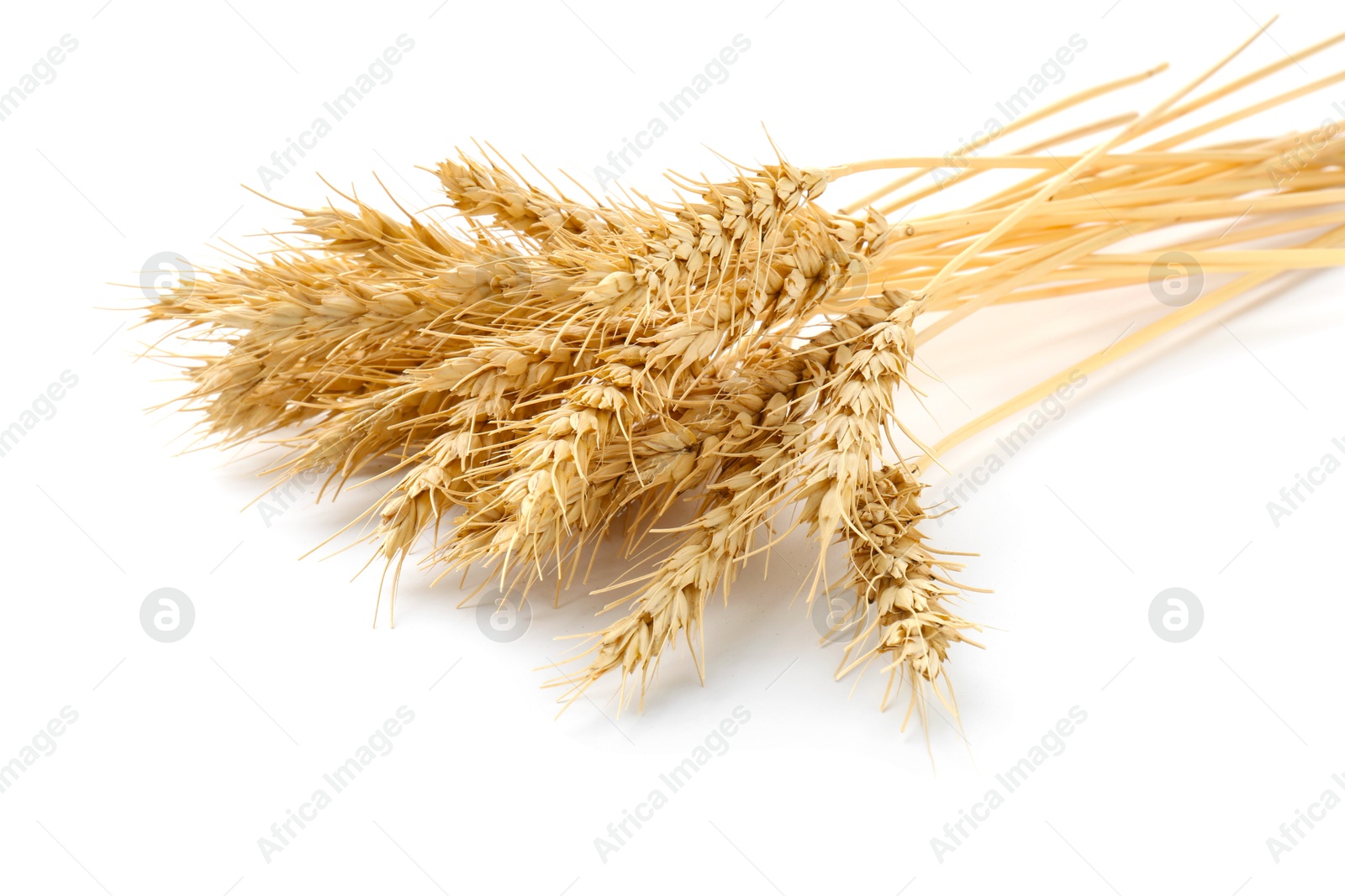 Dried spikes of wheat isolated on white Photo of Dried spikes of wheat isolated on white