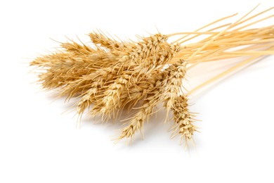 Photo of Dried spikes of wheat isolated on white