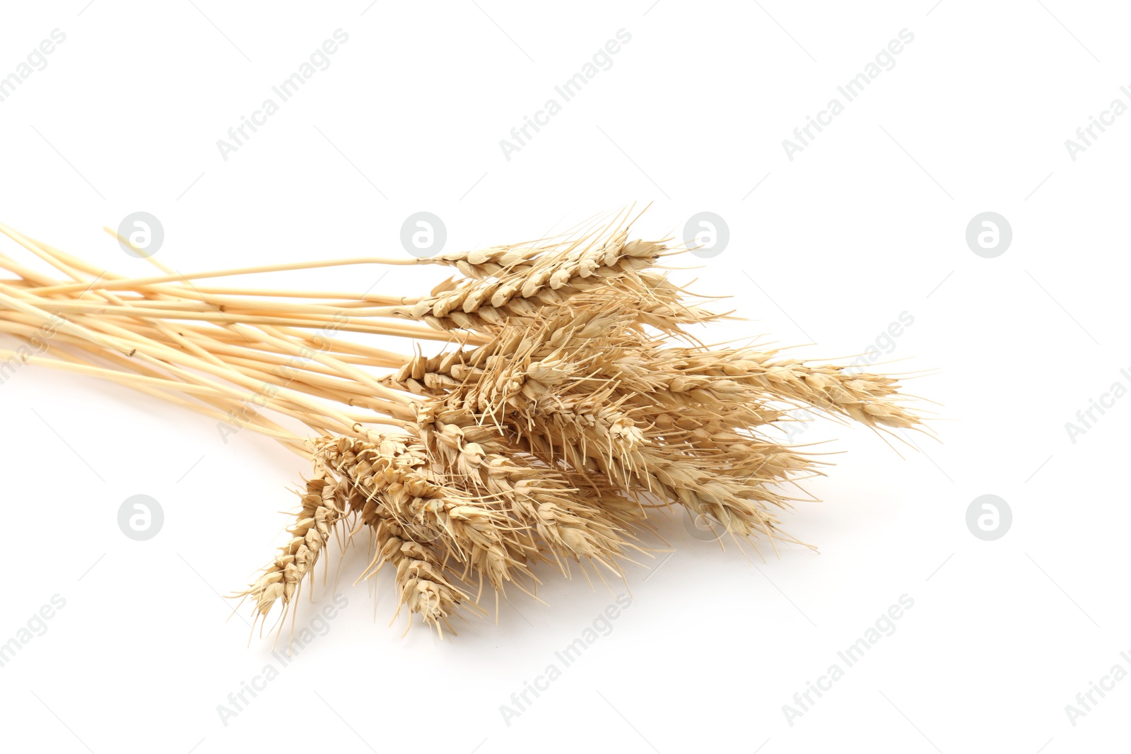 Photo of Dried spikes of wheat isolated on white