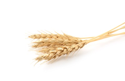 Photo of Dried spikes of wheat on white background