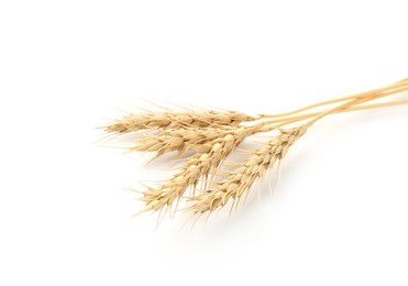Photo of Dried spikes of wheat on white background