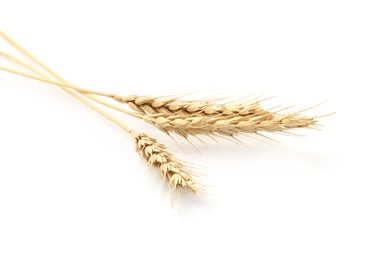 Photo of Dried spikes of wheat on white background