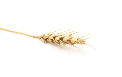Photo of One spike of wheat isolated on white