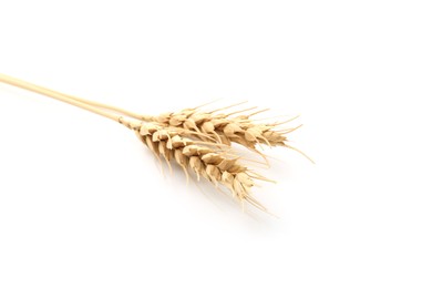 Photo of Two spikes of wheat isolated on white