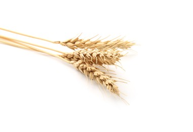 Photo of Dried spikes of wheat isolated on white