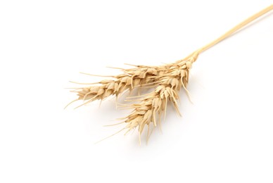 Photo of Two spikes of wheat isolated on white