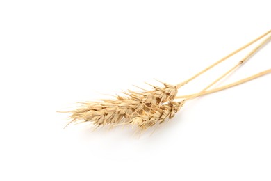 Photo of Dried spikes of wheat isolated on white