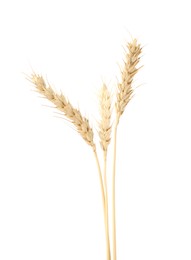 Photo of Dried spikes of wheat on white background